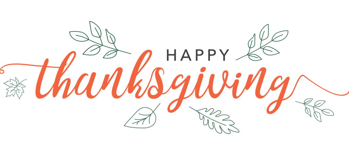 Happy Thanksgiving Calligraphy Text with Illustrated Green Leaves Over White Background